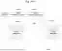 Fig. 207 - SYSTEM FOR ARTIFICIAL VISION