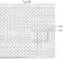 Fig. 96 - SYSTEM FOR ARTIFICIAL VISION