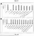 Fig. 06 - NANOLIPID CARRIER BASED FORMULATION FOR BRAIN DELIVERY THROUGH INTRANASAL ROUTE AND ITS PREPARATION PROCESS
