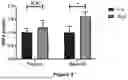 Fig. 08 - METHODS FOR IMPROVING PHYSICAL EXERCISE PERFORMANCE