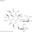 Fig. 09 - THERAPY FOR INHIBITION OF SINGLE-STRANDED RNA VIRUS REPLICATION
