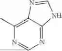 Fig. 149 - THERAPY FOR INHIBITION OF SINGLE-STRANDED RNA VIRUS REPLICATION