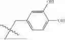Fig. 79 - THERAPY FOR INHIBITION OF SINGLE-STRANDED RNA VIRUS REPLICATION