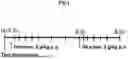 Fig. 02 - COMBINATION OF AN INSULIN AND A GLP-1-AGONIST