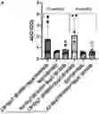 Fig. 01 - NUCLEIC ACID VACCINES