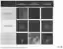 Fig. 08 - SOLE USE OF POLYMERSOME ASSOCIATED ADJUVANT FOR STIMULATING AN IMMUNE RESPONSE