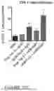 Fig. 22 - SOLE USE OF POLYMERSOME ASSOCIATED ADJUVANT FOR STIMULATING AN IMMUNE RESPONSE