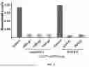 Fig. 02 - RNA-TARGETING COMPOSITIONS AND METHODS FOR TREATING MYOTONIC DYSTROPHY TYPE 1