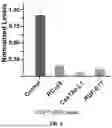 Fig. 04 - RNA-TARGETING COMPOSITIONS AND METHODS FOR TREATING MYOTONIC DYSTROPHY TYPE 1