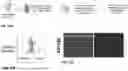 Fig. 14 - RNA-TARGETING COMPOSITIONS AND METHODS FOR TREATING MYOTONIC DYSTROPHY TYPE 1