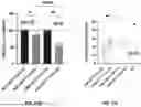Fig. 15 - RNA-TARGETING COMPOSITIONS AND METHODS FOR TREATING MYOTONIC DYSTROPHY TYPE 1