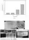 Fig. 08 - HYDROGEL FOR CELL-LADEN BIOPRINTING, BIOINK, AND PREPARATION METHOD AND APPLICATION THEREOF