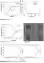Fig. 07 - MEMBRANE ASSEMBLY FOR GAS SEPARATION, METHOD FOR PRODUCING THE MEMBRANE ASSEMBLY AND METHOD OF SEPARATING GASES