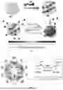 Fig. 02 - COMPOSITE MATERIALS FOR WATER CAPTURE AND RELEASE
