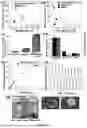 Fig. 09 - COMPOSITE MATERIALS FOR WATER CAPTURE AND RELEASE