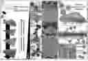 Fig. 01 - METAL NANOSTRUCTURE PREPARATION METHOD USING GALVANIC REPLACEMENT REACTION, AND METAL NANOSTRUCTURE PREPARED THEREBY