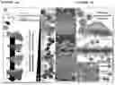 Fig. 02 - METAL NANOSTRUCTURE PREPARATION METHOD USING GALVANIC REPLACEMENT REACTION, AND METAL NANOSTRUCTURE PREPARED THEREBY