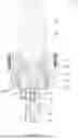 Fig. 09 - CHAMFER-CUTTING TOOLS