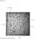 Fig. 02 - CORE MEMBER