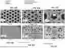Fig. 43 - ARCHITECTED CARBON NANOTUBE FOAMS AND METHODS OF MAKING SAME