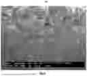 Fig. 02 - DIATOMACEOUS ENERGY STORAGE DEVICES