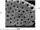 Fig. 08 - DIATOMACEOUS ENERGY STORAGE DEVICES