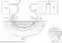 Fig. 02 - DEBRIDING DRESSING FOR USE WITH NEGATIVE PRESSURE AND FLUID INSTILLATION