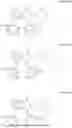 Fig. 35 - MODULATORS OF FPR1 AND METHODS OF USING THE SAME