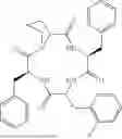 Fig. 197 - NOVEL MACROCYCLIC OPIOID PEPTIDES