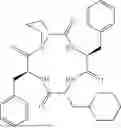Fig. 232 - NOVEL MACROCYCLIC OPIOID PEPTIDES