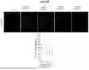 Fig. 04 - APOLIPOPROTEIN B (APOB) POLYPEPTIDES FOR BLOCKING ENDOTHELIAL CELL UPTAKE OF APOLIPOPROTEIN B-CONTAINING LIPOPROTEINS