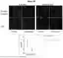 Fig. 08 - APOLIPOPROTEIN B (APOB) POLYPEPTIDES FOR BLOCKING ENDOTHELIAL CELL UPTAKE OF APOLIPOPROTEIN B-CONTAINING LIPOPROTEINS