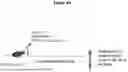 Fig. 09 - APOLIPOPROTEIN B (APOB) POLYPEPTIDES FOR BLOCKING ENDOTHELIAL CELL UPTAKE OF APOLIPOPROTEIN B-CONTAINING LIPOPROTEINS