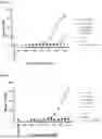 Fig. 02 - IMMUNOGLOBULIN SINGLE VARIABLE DOMAINS TARGETING T CELL RECEPTOR
