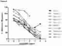 Fig. 07 - CCR6 ANTIBODIES