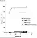 Fig. 22 - CCR6 ANTIBODIES