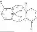 Fig. 02 - ANTIBODY AND TAXANE COMBINATION THERAPY