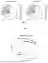 Fig. 02 - HIGHLY SOLUBLE PEA STARCH AS REPLACER OF MALTODEXTRIN