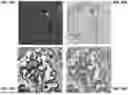 Fig. 11 - DIGITAL SYNTHESIS OF HISTOLOGICAL STAINS USING MULTIPLEXED IMMUNOFLUORESCENCE IMAGING