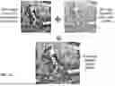 Fig. 14 - DIGITAL SYNTHESIS OF HISTOLOGICAL STAINS USING MULTIPLEXED IMMUNOFLUORESCENCE IMAGING