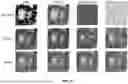 Fig. 22 - DIGITAL SYNTHESIS OF HISTOLOGICAL STAINS USING MULTIPLEXED IMMUNOFLUORESCENCE IMAGING