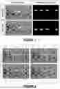 Fig. 02 - TWO-DIMENSIONAL POSE ESTIMATION BASED ON BIPARTITE MATCHING OF JOINT TYPE HEATMAPS AND JOINT PERSON HEATMAPS