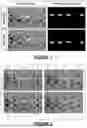 Fig. 02 - REAL-TIME POSE ESTIMATION THROUGH BIPARTITE MATCHING OF HEATMAPS OF JOINTS AND PERSONS AND DISPLAY OF VISUALIZATIONS BASED ON THE SAME