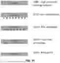 Fig. 08 - PLASMA PROCESS UNIFORMITY BY WAFER BACK SIDE DOPING