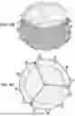 Fig. 07 - CATHETER-GUIDED REPLACEMENT VALVES APPARATUS AND METHODS