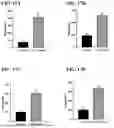 Fig. 24 - COMPOSITIONS AND METHODS FOR DETERRING OVIPOSITION BY FRUIT FLIES