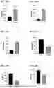 Fig. 31 - COMPOSITIONS AND METHODS FOR DETERRING OVIPOSITION BY FRUIT FLIES