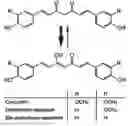 Fig. 01 - Uses of curcuminoid compositions