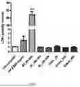 Fig. 09 - Uses of curcuminoid compositions