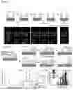 Fig. 06 - METHOD FOR PREPARING SOLVENT-FREE 3D BIOLOGICAL BILAYER MEMBRANE STRUCTURE IN PHYSIOLOGICAL SOLUTION AND 3D BIOLOGICAL BILAYER MEMBRANE STRUCTURE USING THE SAME